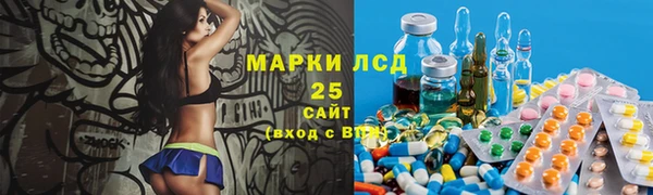 гашик Гусев