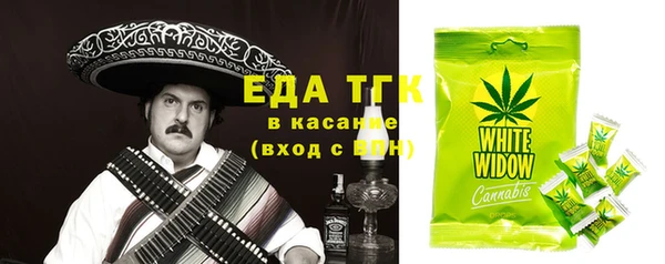 гашик Гусев
