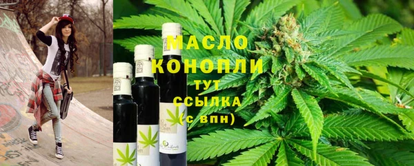 гашик Гусев
