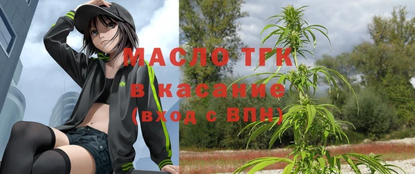 гашик Гусев
