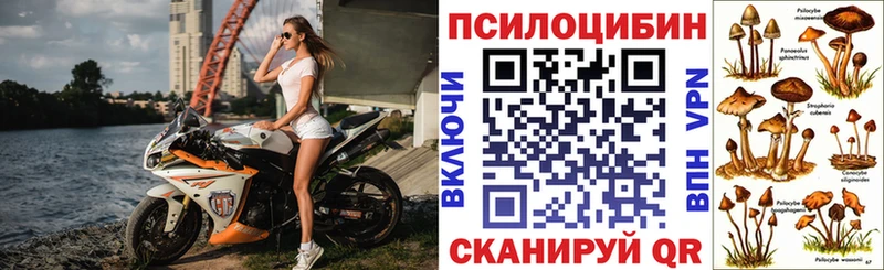 Псилоцибиновые грибы Psilocybine cubensis  Купить где  Верхняя Пышма 